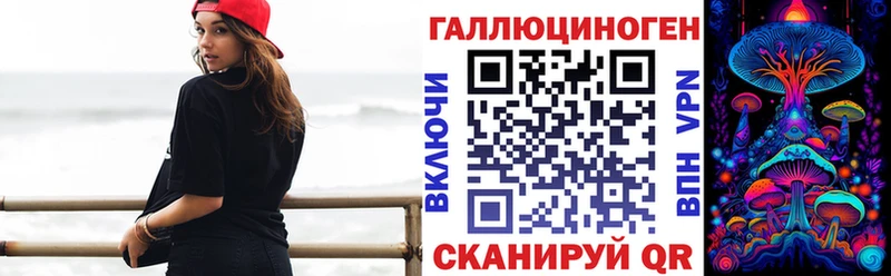 Галлюциногенные грибы Psilocybine cubensis  Заозёрный 
